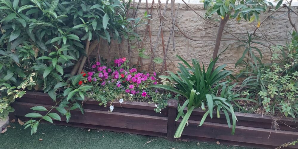 גינה