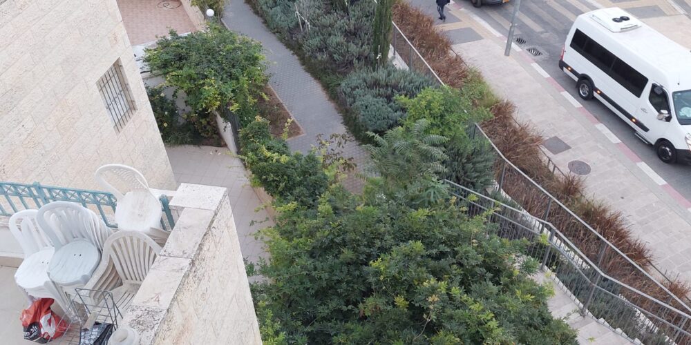 נוף