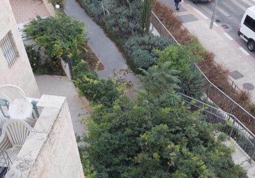 נוף