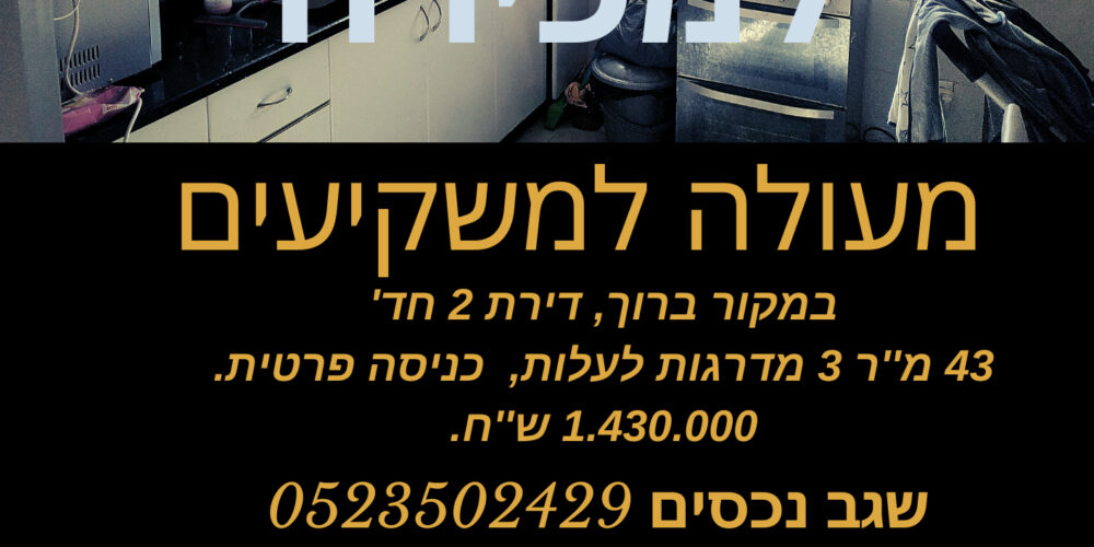 Modern Real Estate Flyer.png צבי אילן