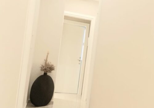 תמונה של WhatsApp‏ 2024-12-08 בשעה 12.21.07_0b0f5275
